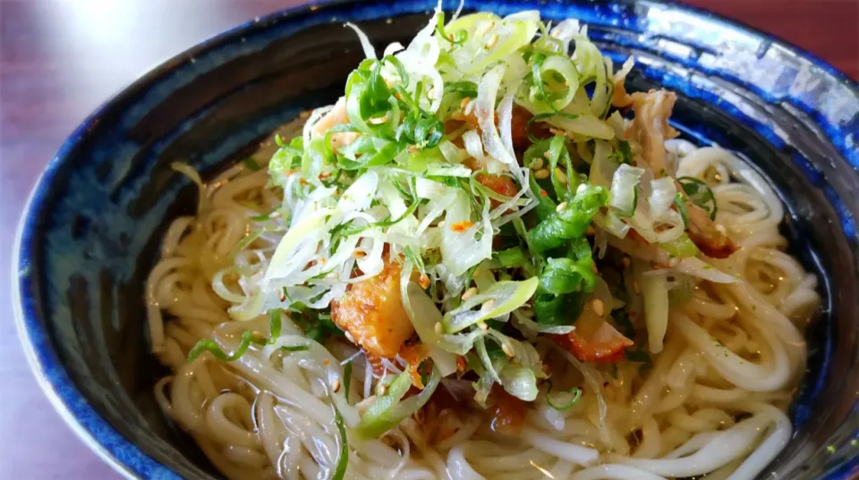 阿波尾鶏のねぎまみれそうめん|半田手延べそうめんの店 阿波や壱兆さん