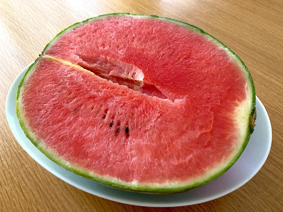 ＊すいか祭り🍉＊|＊抹茶＊さん