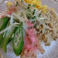 |伊藤 伸久さん