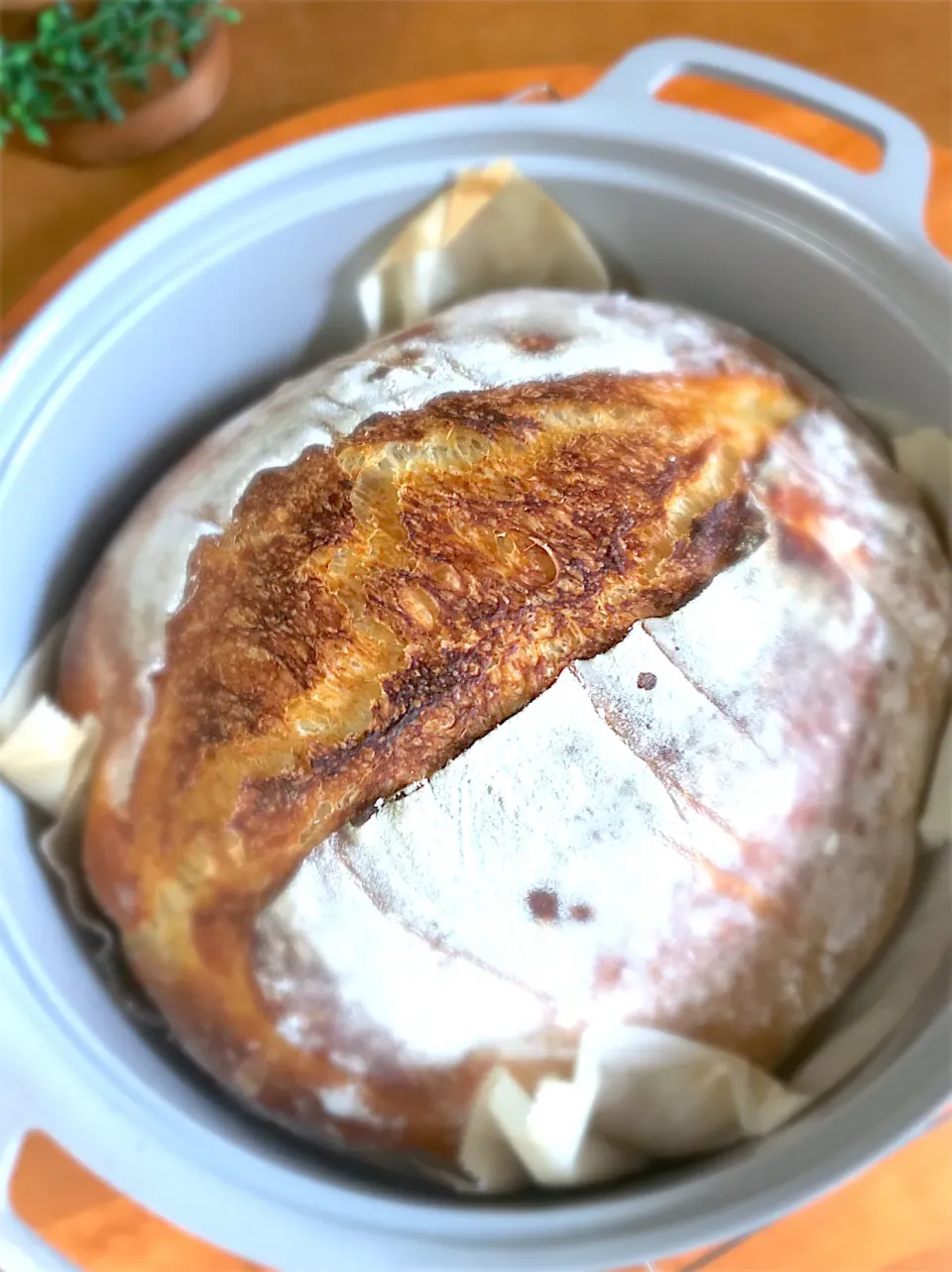 Sourdough bread|Watanabe Cristinaさん