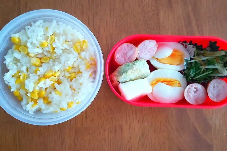 Snapdishの料理写真:８月５日　お弁当|いもこ。さん