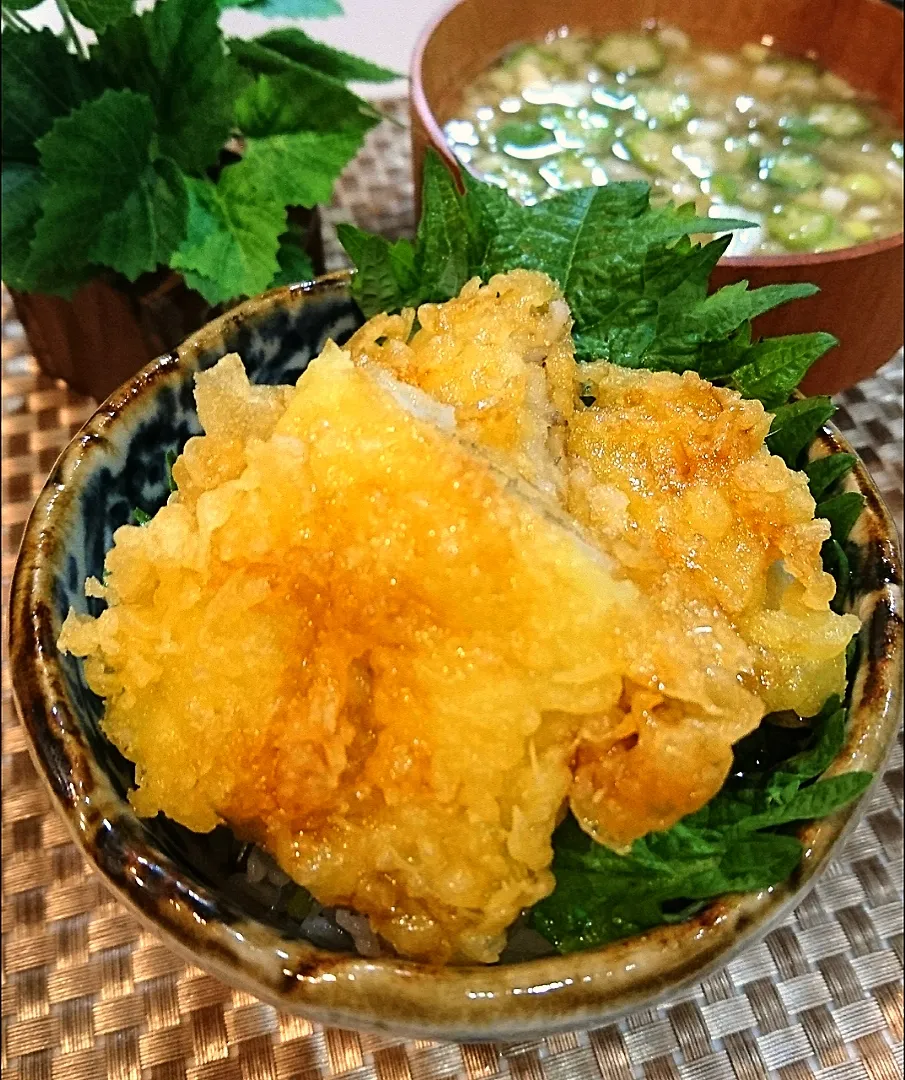 穴子丼で夜ご飯|ポコさん