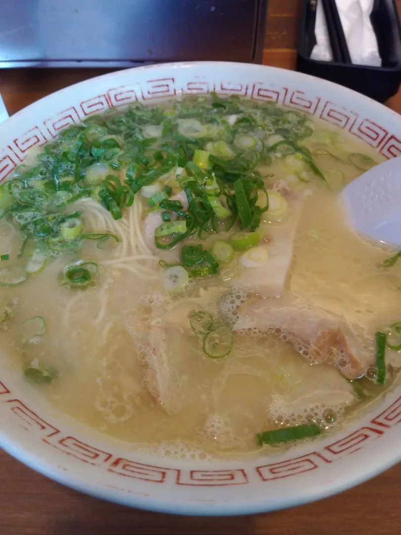 長浜ラーメン　とん楽|こいけさんさん