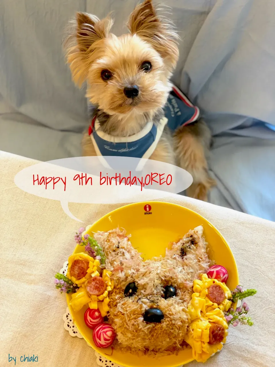 Snapdishの料理写真:わんこおにぎり🐾0809🐾オレオの９歳お誕生日🎂|chiaki3（平川ちあき）さん