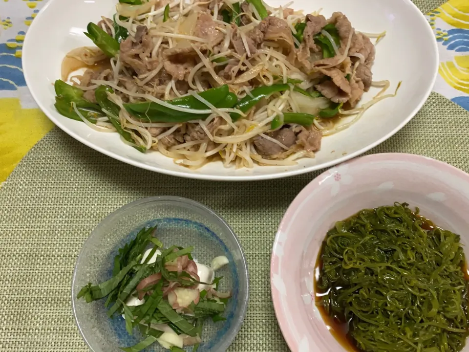 カルビと野菜焼き、まかぶポン酢、冷奴|peanutsさん