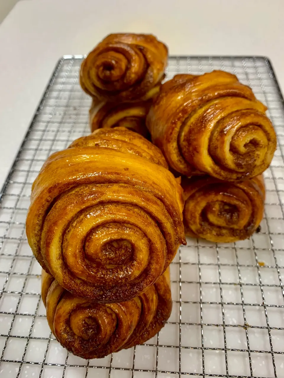 Cinnamon Rolls|gonbenさん