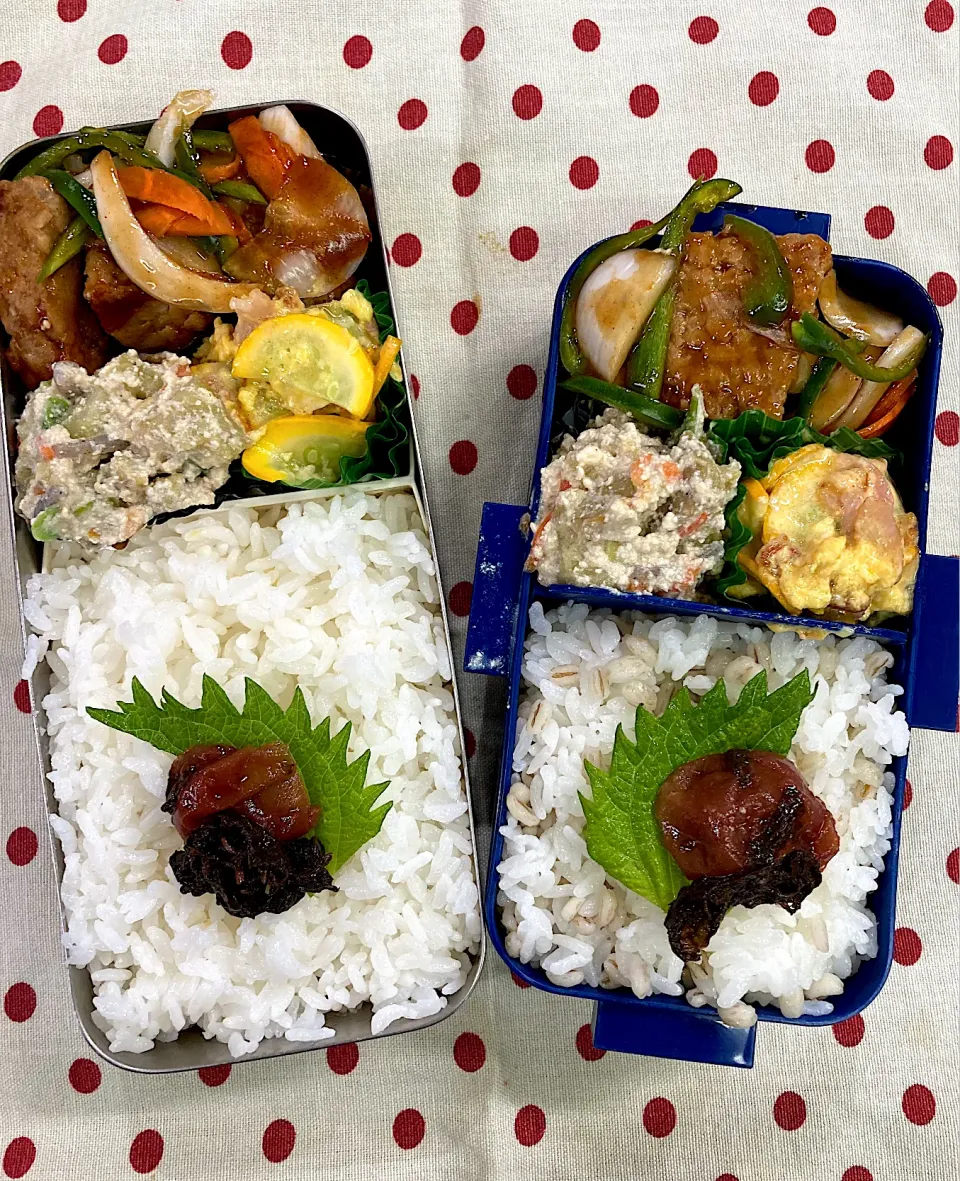 8月11日 今日から雨☔️弁当🍱|sakuramochiさん