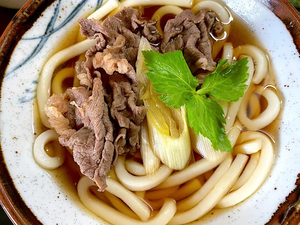 肉うどん|名状しがたいゴミムシのようなものさん