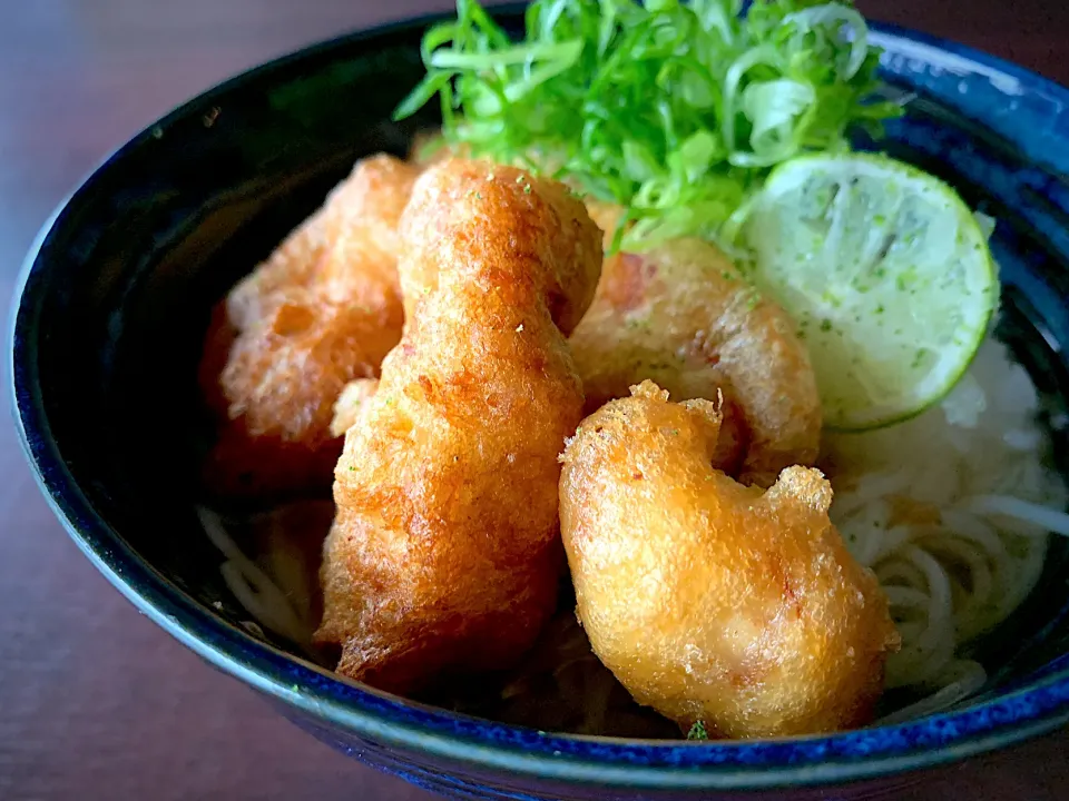 鶏天すだちおろしそうめん|半田手延べそうめんの店 阿波や壱兆さん