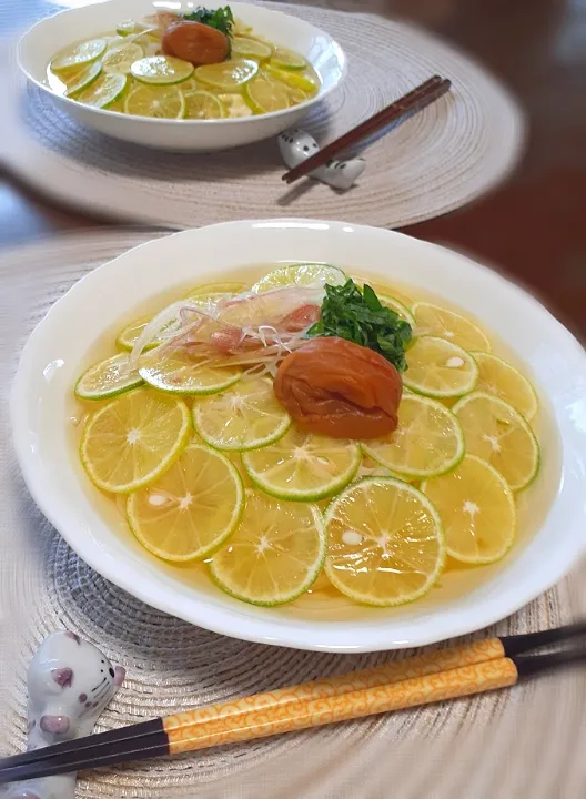 徳島土産　半田手延べ素麺
　　　　　すだちみかん

　すだち素麺🍃|びせんさん