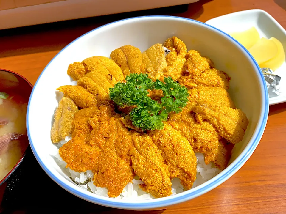 ウニ丼|栗猫さん