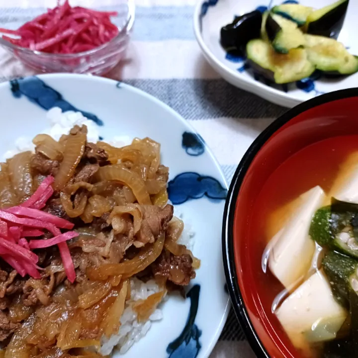 牛丼|ぱいんてーるさん