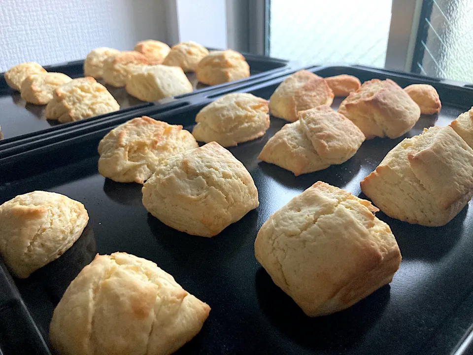 ＊焼き立てスコーン朝食＊|＊抹茶＊さん