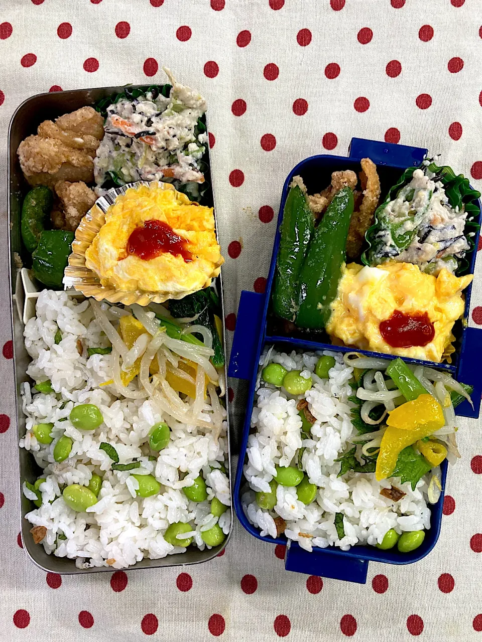 Snapdishの料理写真:8月18日 今日は雨上がり 弁当🍱|sakuramochiさん