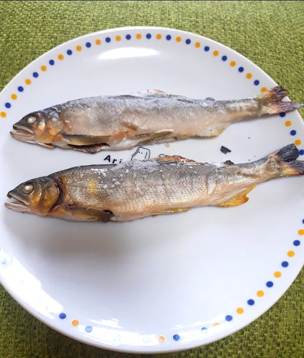 鮎の塩焼き|たんごたんごさん