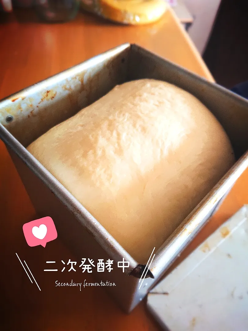 Snapdishの料理写真:生食パン二次発酵中|B L U E 🍴さん