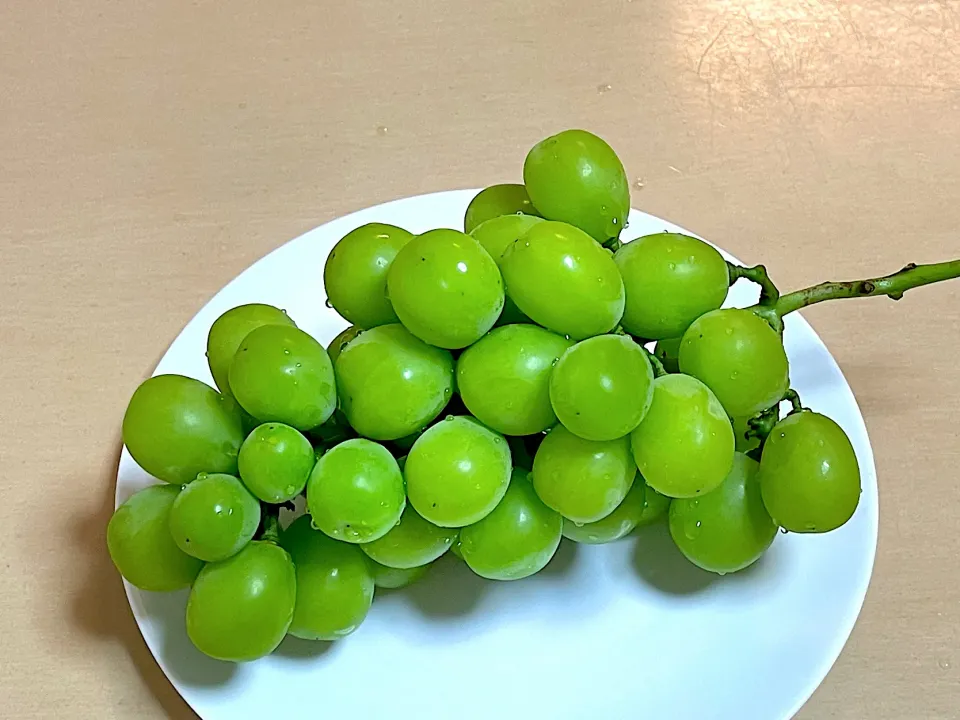 シャインマスカット|マハロ菊池さん