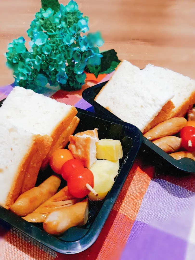 Snapdishの料理写真:子どもたち用ピクニック弁当|マイさん