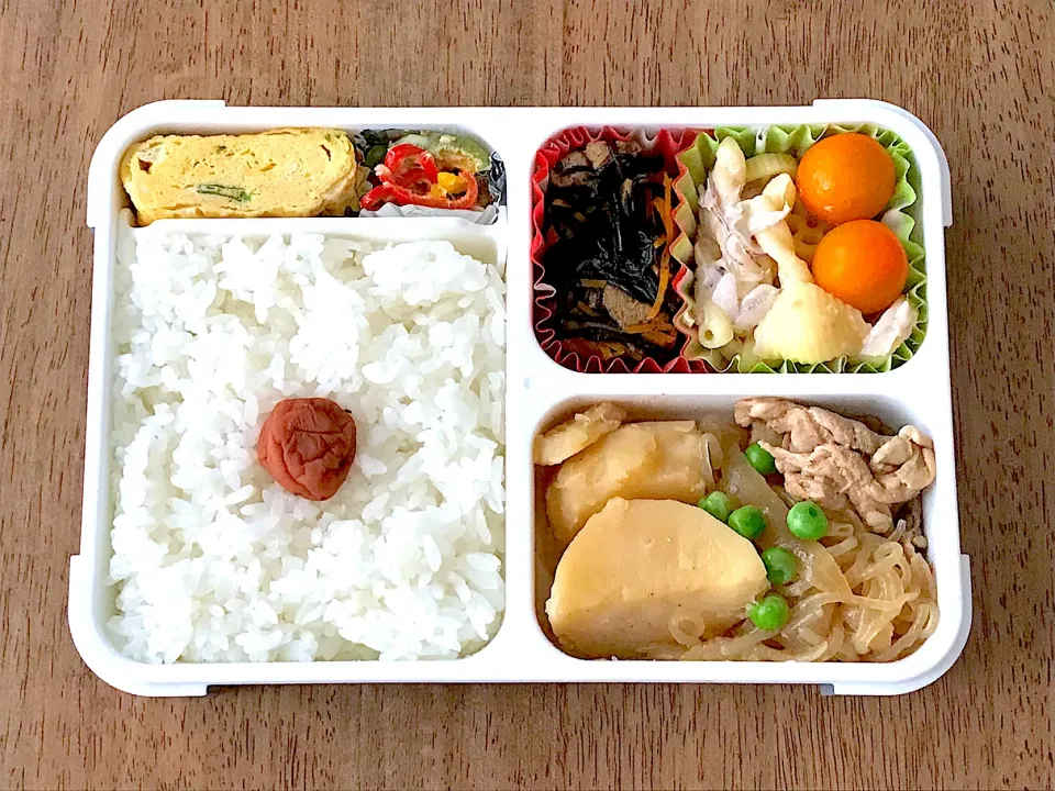 肉じゃが弁当|703さん