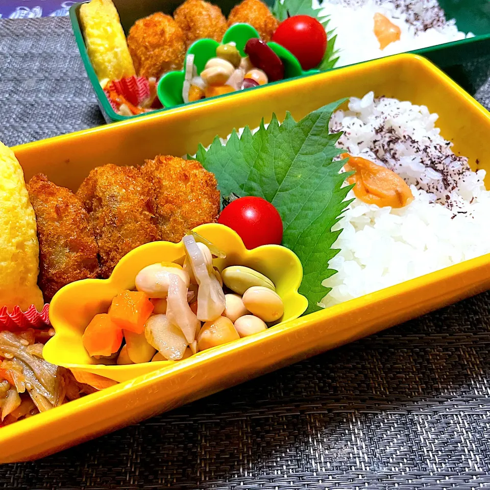 Snapdishの料理写真:カレーコロッケと豆サラダ弁当|mettiさん