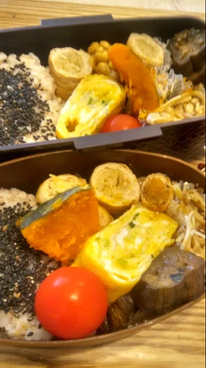 Snapdishの料理写真:'21．8/24
本日のジジババ弁当🍱|たえさん