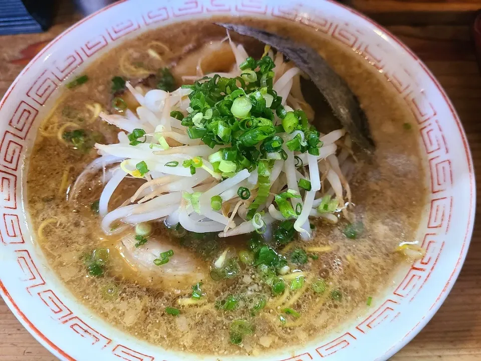 まぼろし軒のとんこつ醤油ラーメン☆|けんさん