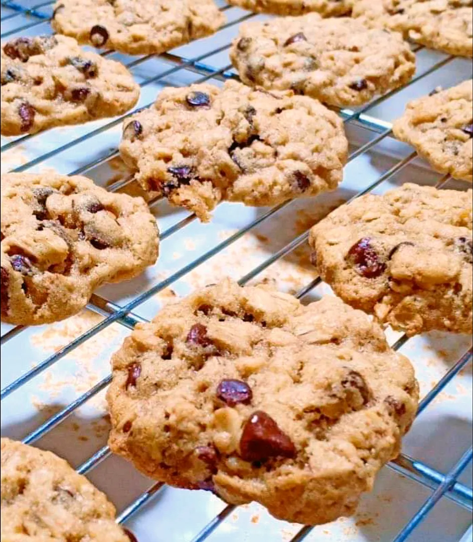 Oatmeal Chocolate Chip Cookies|The Kitchen Kittiesさん