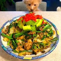 Snapdishの料理写真:焼きそばアボカド🥑！