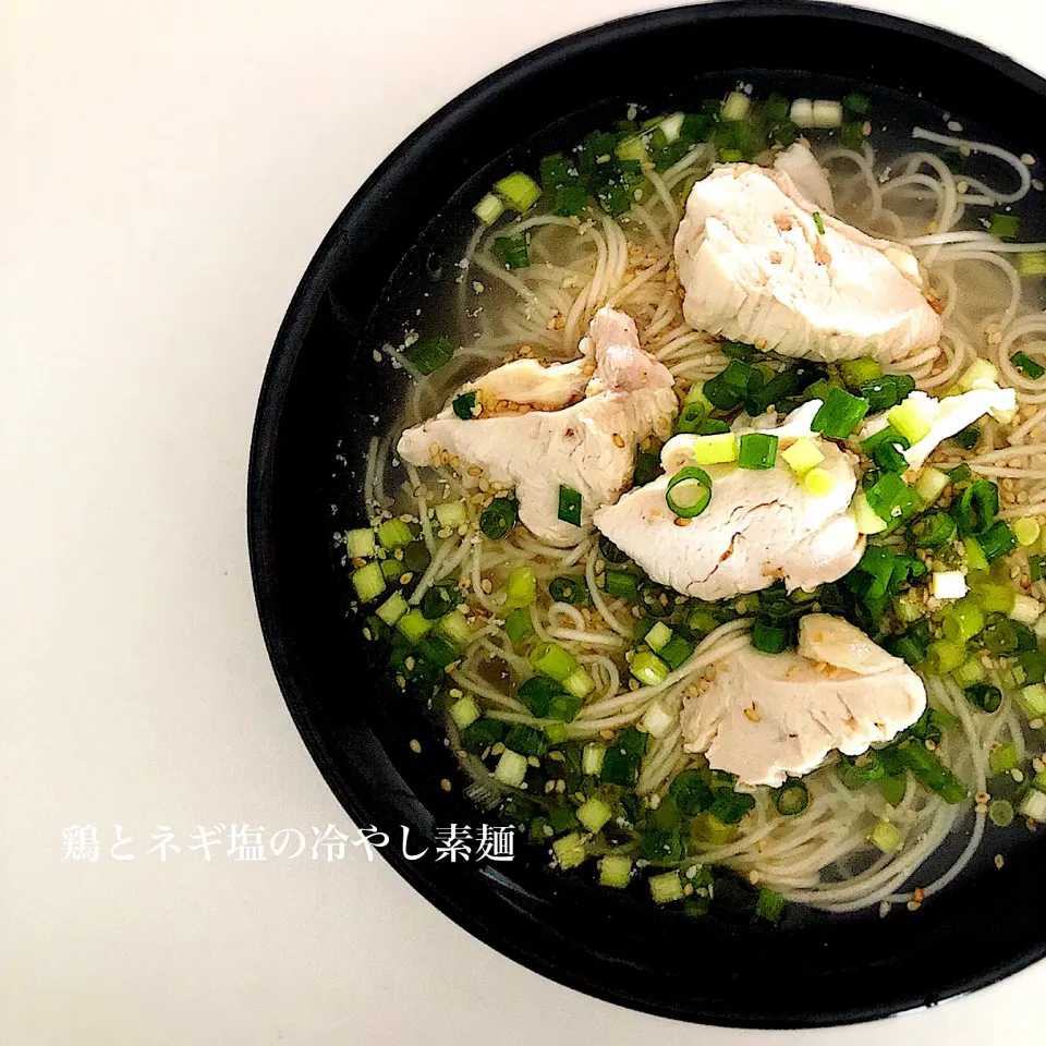 鶏とネギ塩の冷やし素麺|cheesaltさん