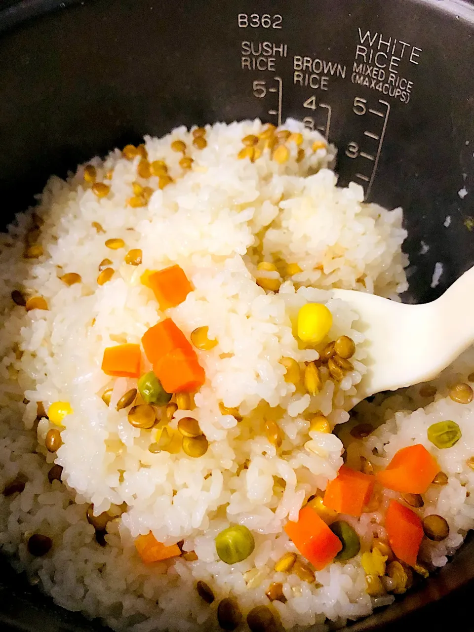 Snapdishの料理写真:レンズ豆ご飯　おにぎりしてもいいしカレーにも合うよ🍛|あいもんさん