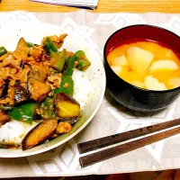 Snapdishの料理写真:なんちゃってスタミナ丼|アマガエル🐸さん