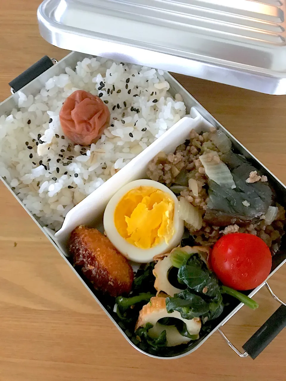 Snapdishの料理写真:ナスのそぼろ煮込み弁当🍱|ちっくんさん