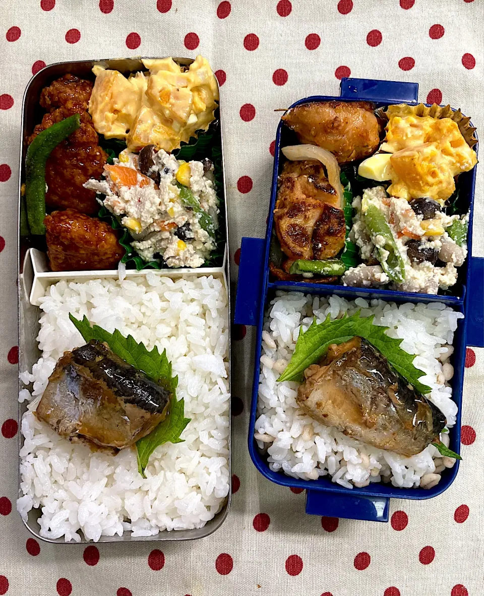 9月2日　雷雨⚡️☔️寝不足弁当🍱|sakuramochiさん