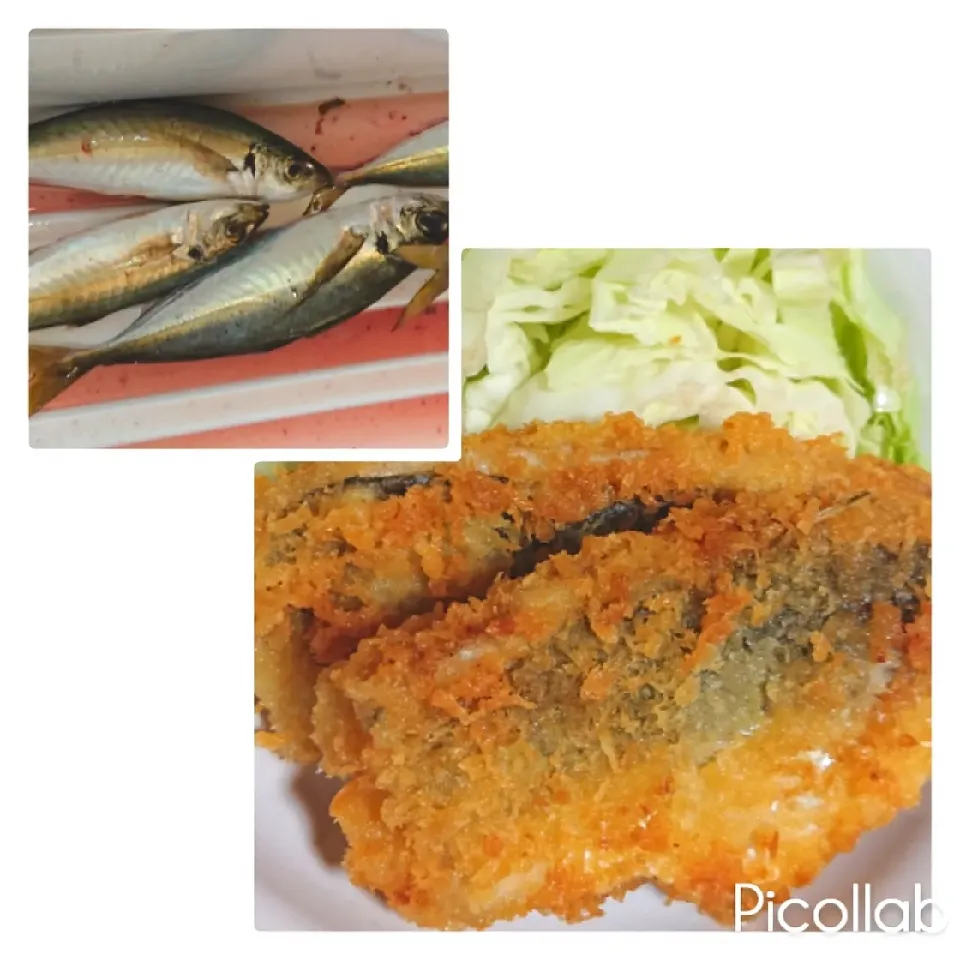 今朝釣って来てくれたアジ🐟️三枚におろし
骨を取りフライにしました🤗

新鮮で肉厚でふわふわでウスターソースをかけて美味しく頂きました✌️|no-noさん