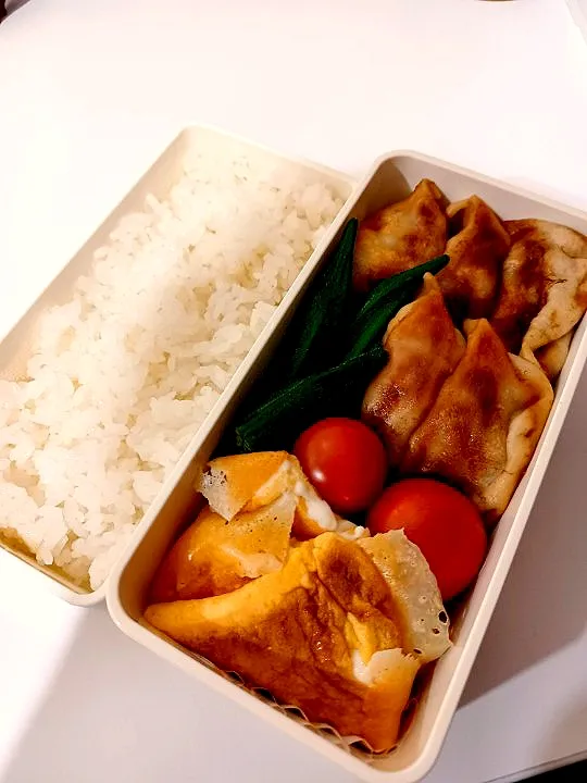 餃子弁当|ぽちゃマクさん