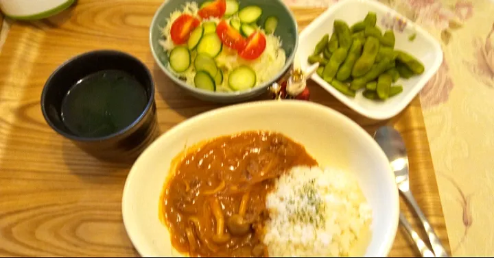 '21．9/5
ビーフストロガノフ風で晩ごはん😋|たえさん