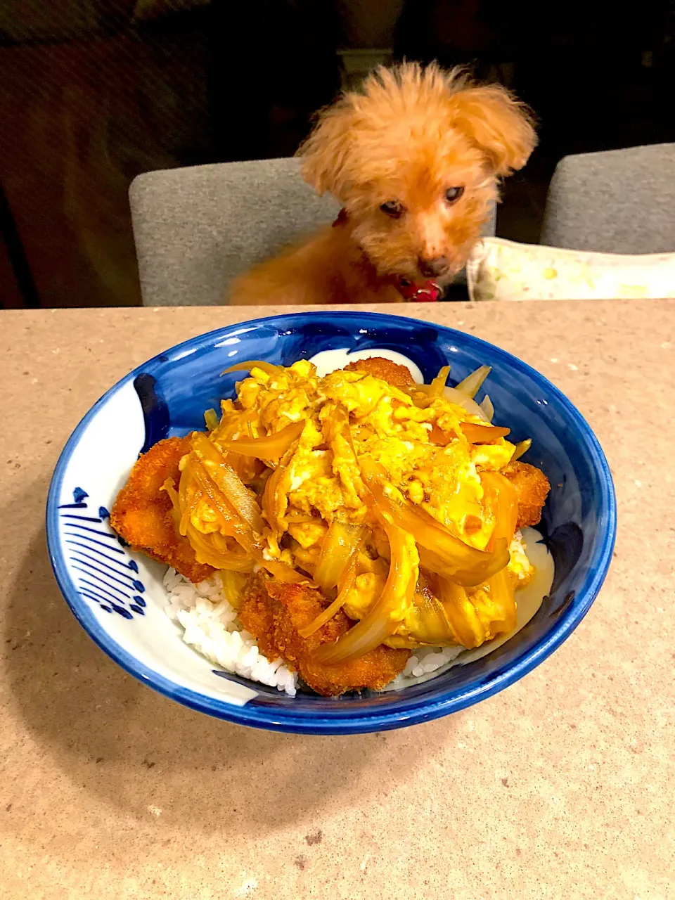 ヒレカツ丼🍚！|Mayumiさん