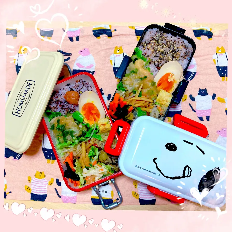 Snapdishの料理写真:９／５ ｓｕｎ 明日のお弁当🍴＊○°|rinaronarさん