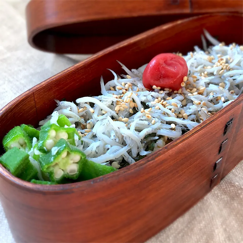 しらす丼弁当😍|さおさん