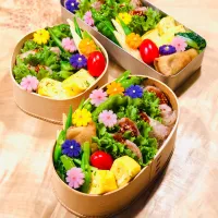 サムギョプサル風な弁当