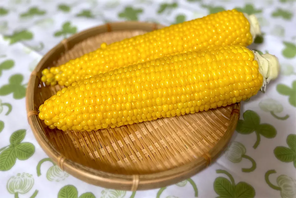 青森県 嶽きみ🌽 絶品とうもろこし🌽|ナナさん