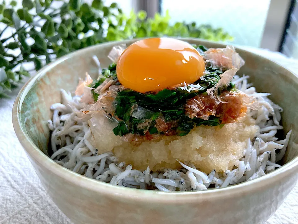 ＊しらすおろしモロヘイヤ丼＊|＊抹茶＊さん