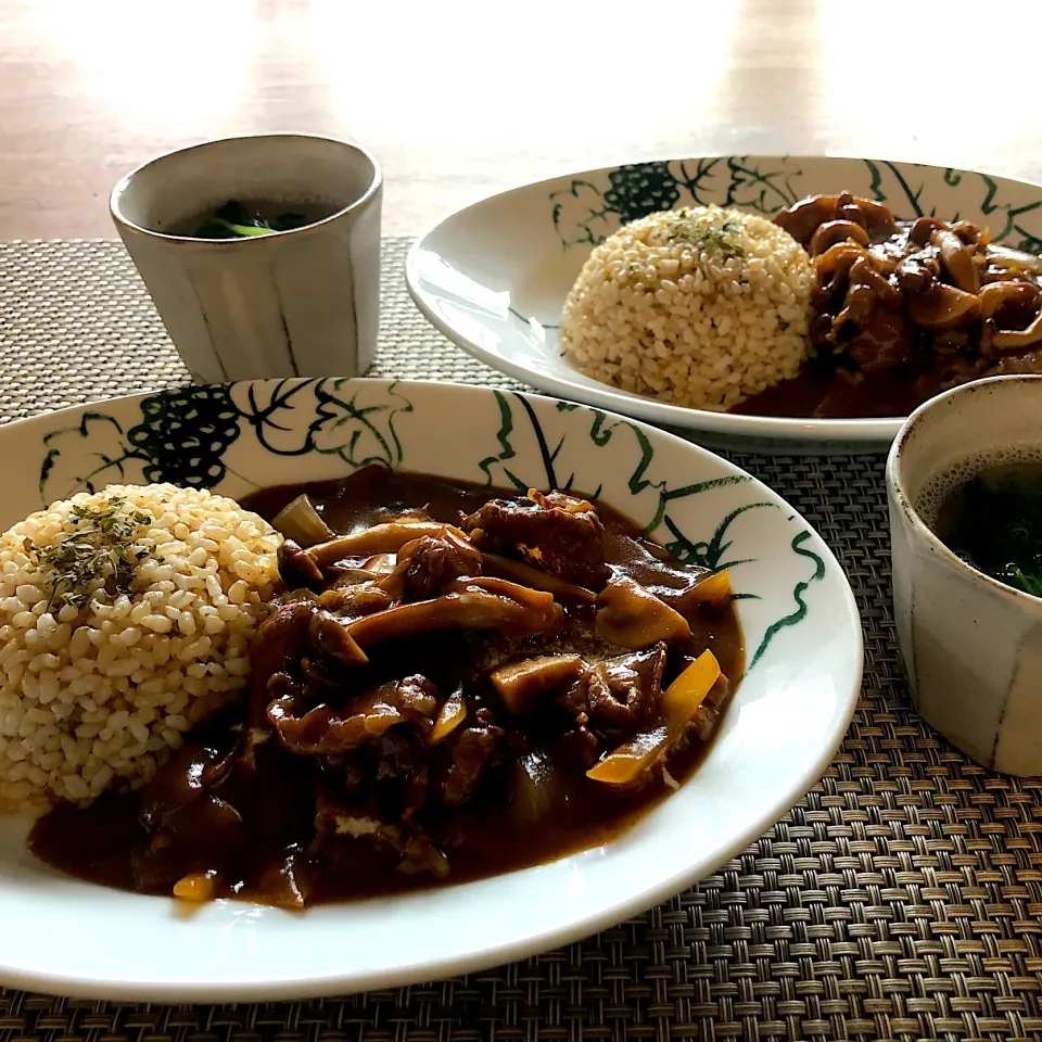 Snapdishの料理写真:ハッシュドビーフ🍛|saoricocoさん