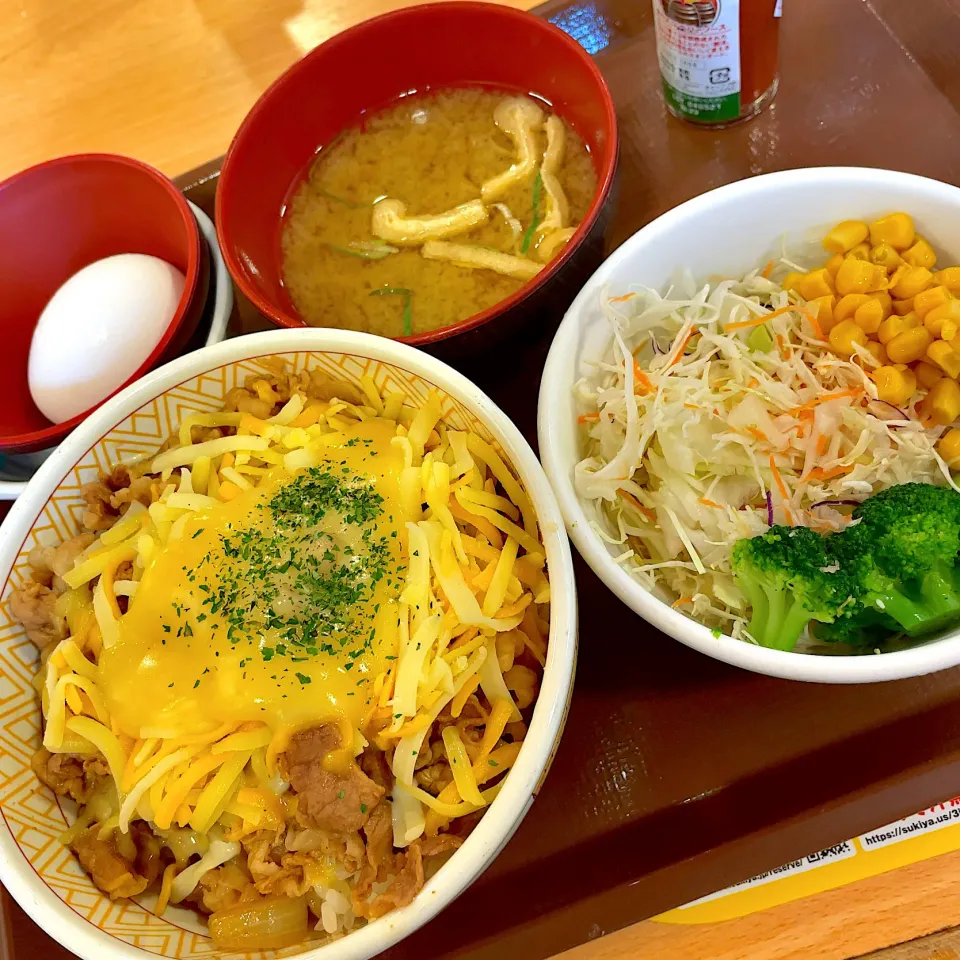 とろ〜り3種のチーズ牛丼 生卵・サラダセット|T. Wonderさん