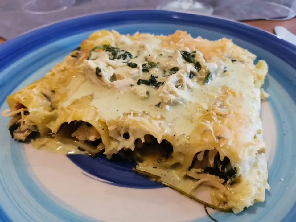 Snapdishの料理写真:Pasta Cannelloni filled with Chicken/Spinach|MFCook 🇬🇹さん