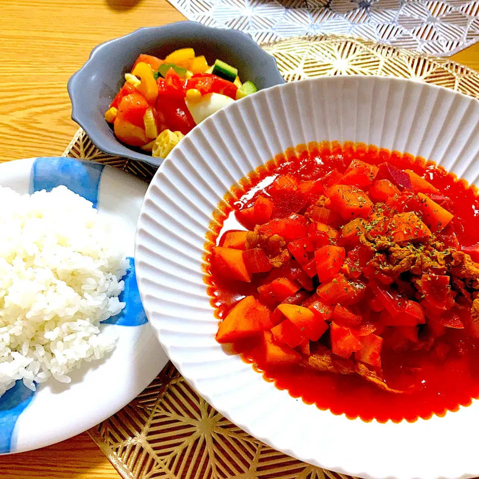 野菜たっぷりボルシチ、マカロニサラダ|ツインうさぎさん