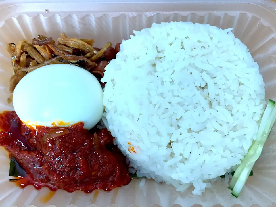 Nasik Lemak|delzhaさん