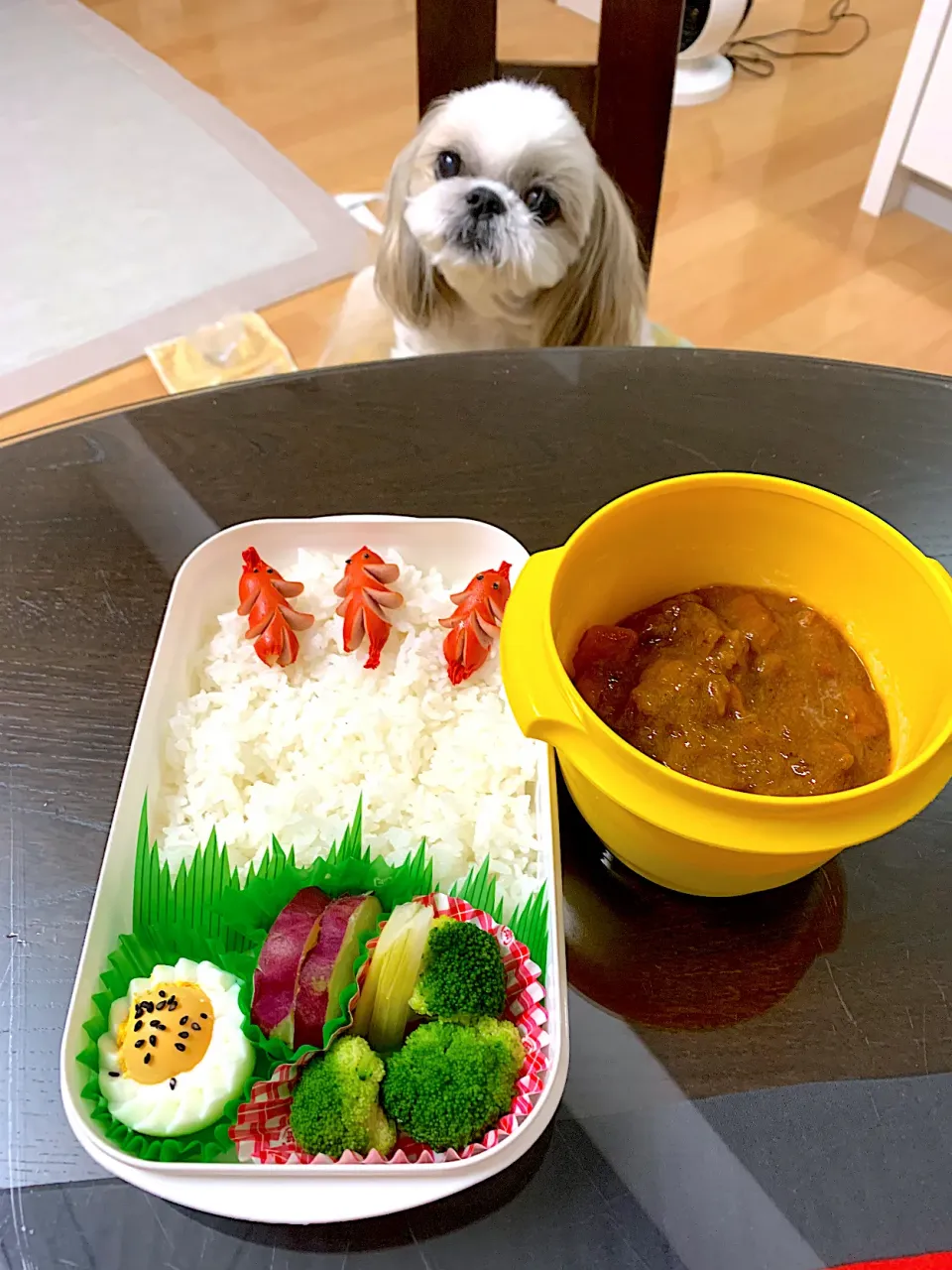 9月9日　プクパパお弁当|プクママさん