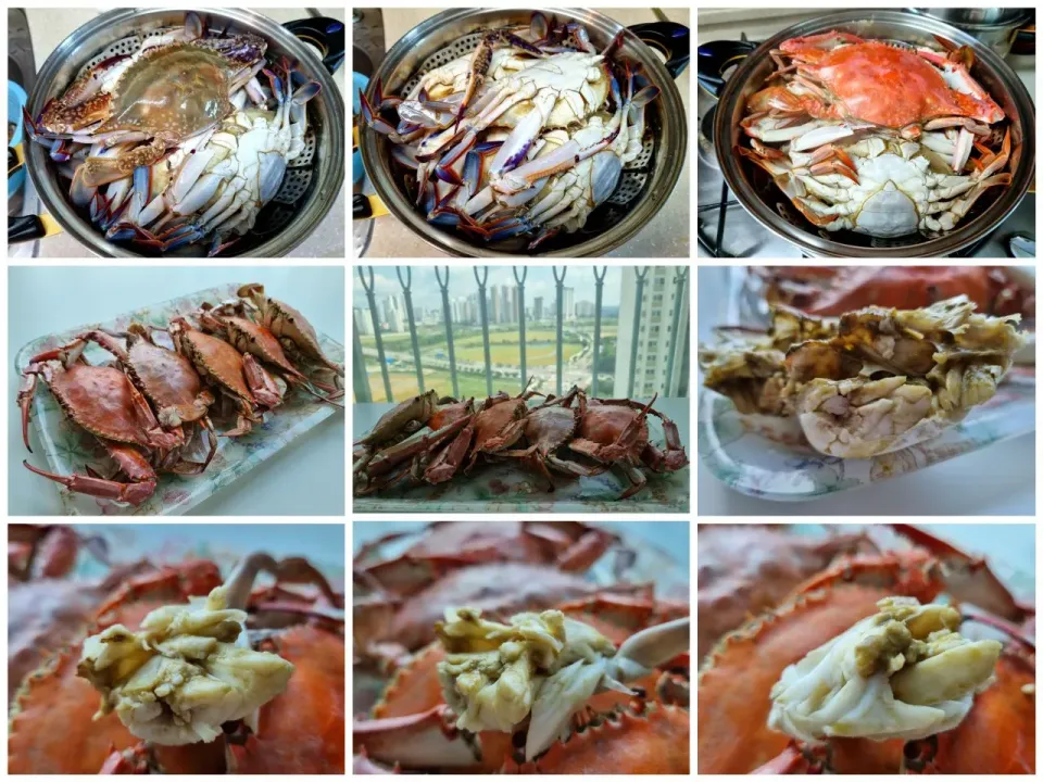 Snapdishの料理写真:清蒸梭子蟹 - Steamed Pacific Blue Crab|steven z.y.さん