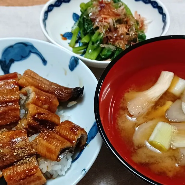 ビールの後の軽めの鰻丼|ぱいんてーるさん